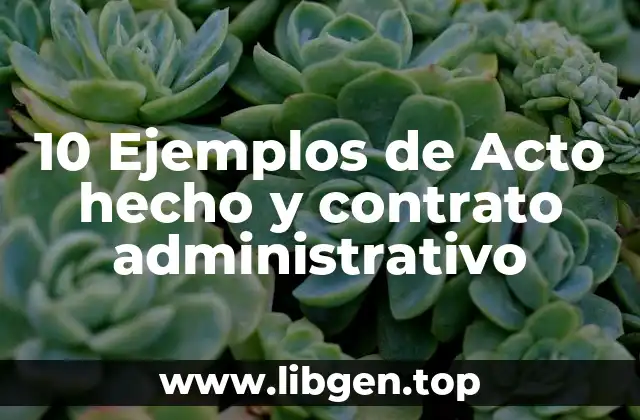 10 Ejemplos de Acto hecho y contrato administrativo