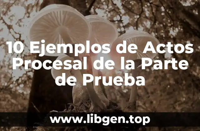 10 Ejemplos de Actos Procesal de la Parte de Prueba