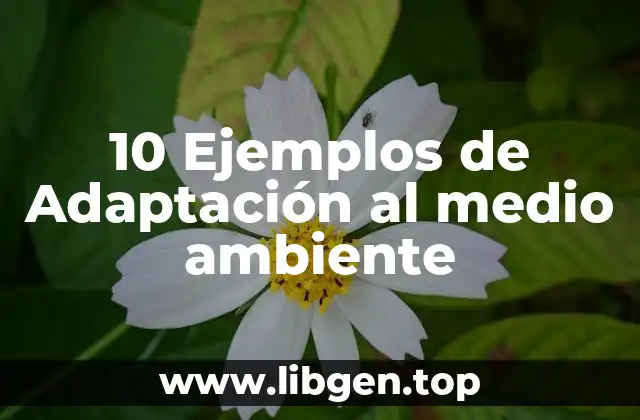 10 Ejemplos de Adaptación al medio ambiente