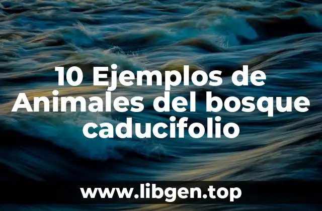Ejemplos de animales del bosque caducifolio