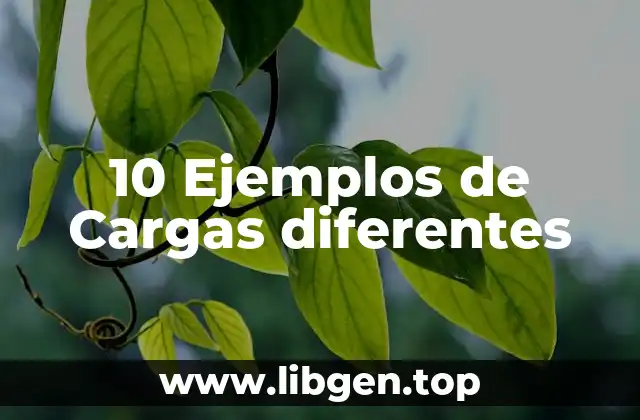 10 Ejemplos de Cargas diferentes