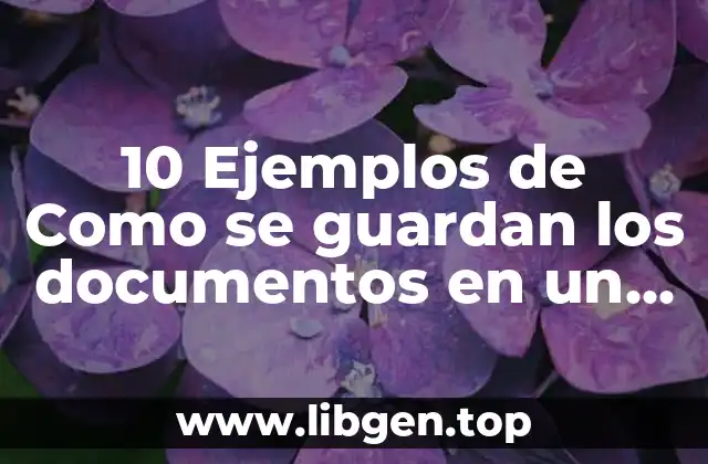 10 Ejemplos de Como se guardan los documentos en un expediente