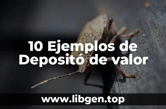 10 Ejemplos de Depositó de valor