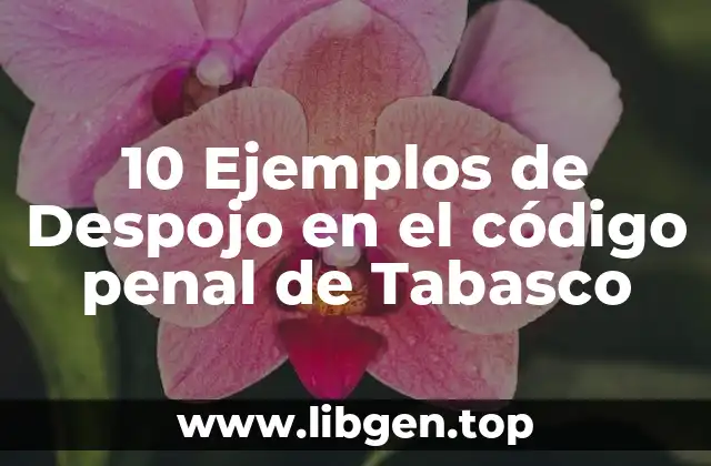 Ejemplos de despojo en el código penal de Tabasco