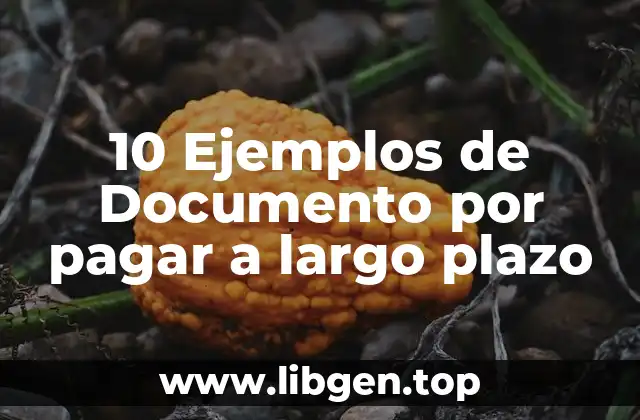 10 Ejemplos de Documento por pagar a largo plazo