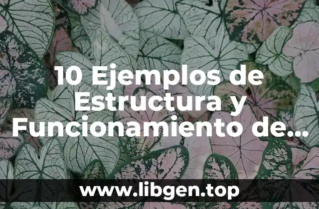 10 Ejemplos de Estructura y Funcionamiento de una Empresa