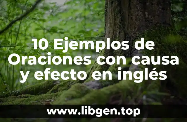 10 Ejemplos de Oraciones con causa y efecto en inglés