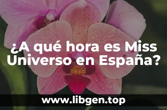 ¿A qué hora es Miss Universo en España?