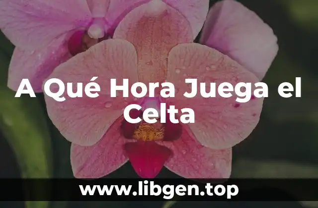 El Celta de Vigo y su Historia en la La Liga