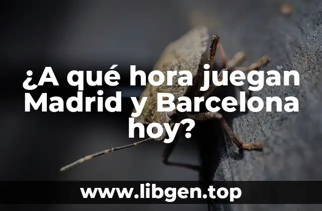 ¿A qué hora juegan Madrid y Barcelona hoy?