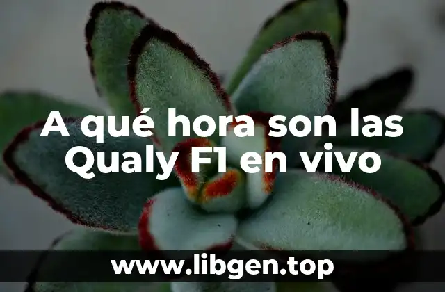 ¿Cuándo son las Qualy F1?