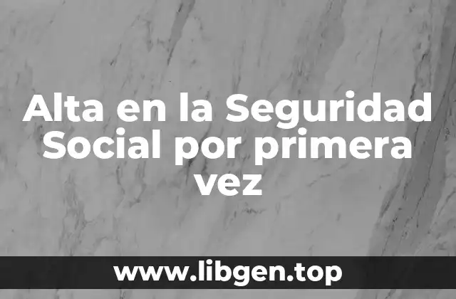 Alta en la Seguridad Social por primera vez