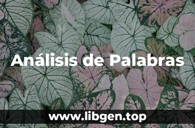 Análisis de Palabras