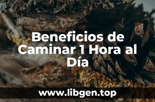 Beneficios de Caminar 1 Hora al Día