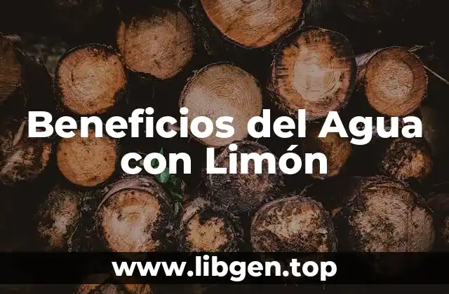 Propiedades Nutricionales del Agua con Limón