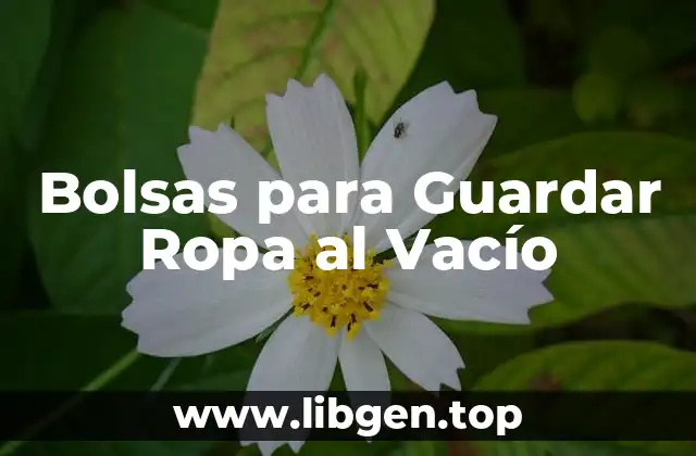 Bolsas para Guardar Ropa al Vacío