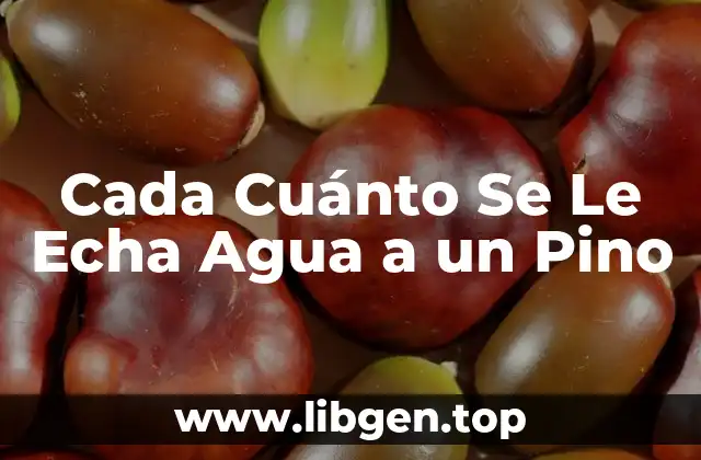 Cada Cuánto Se Le Echa Agua a un Pino