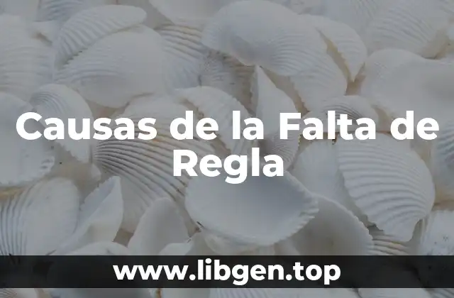 Causas de la Falta de Regla
