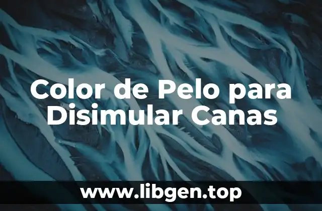 Color de Pelo para Disimular Canas