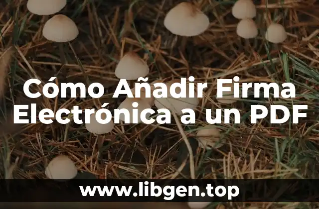 Ventajas de la Firma Electrónica en PDF