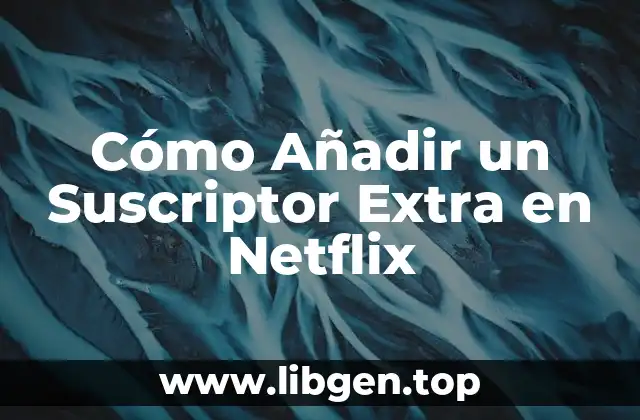 Cómo Añadir un Suscriptor Extra en Netflix