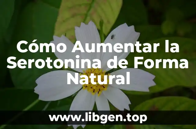 Cómo Aumentar la Serotonina de Forma Natural