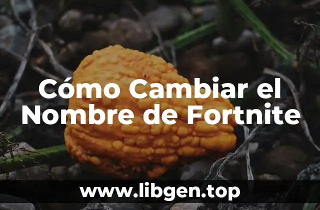 ¿Por qué Cambiar el Nombre de Fortnite?