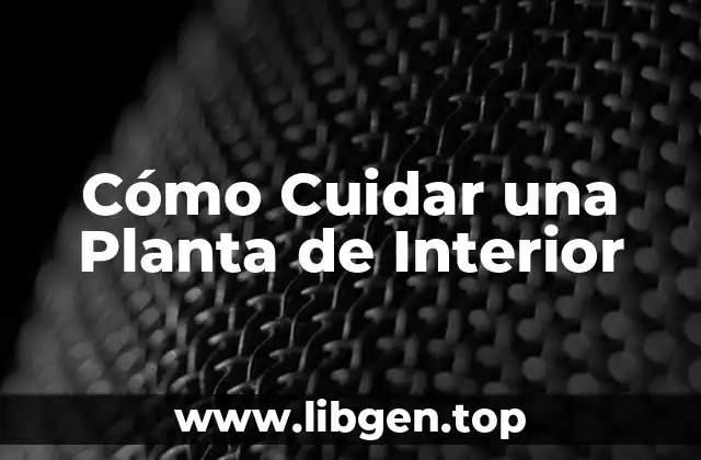Cómo Cuidar una Planta de Interior