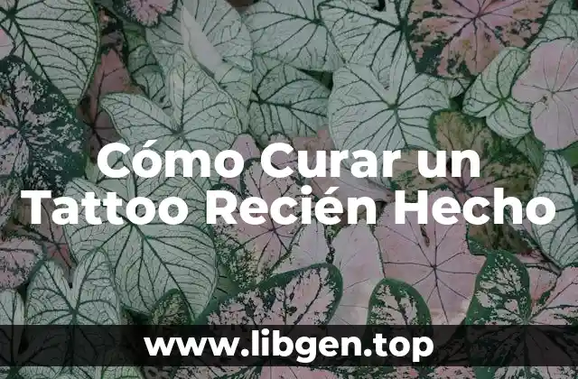 Cómo Curar un Tattoo Recién Hecho