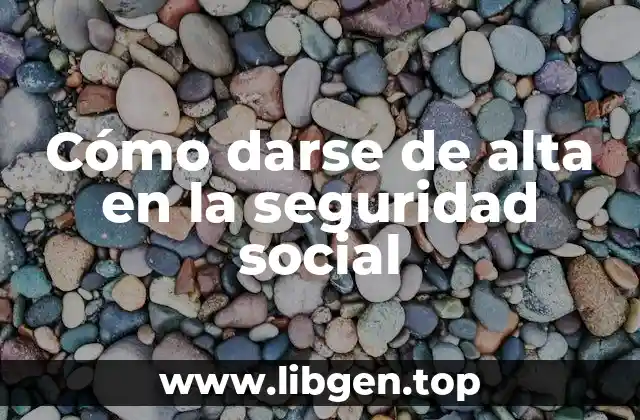 Cómo darse de alta en la seguridad social