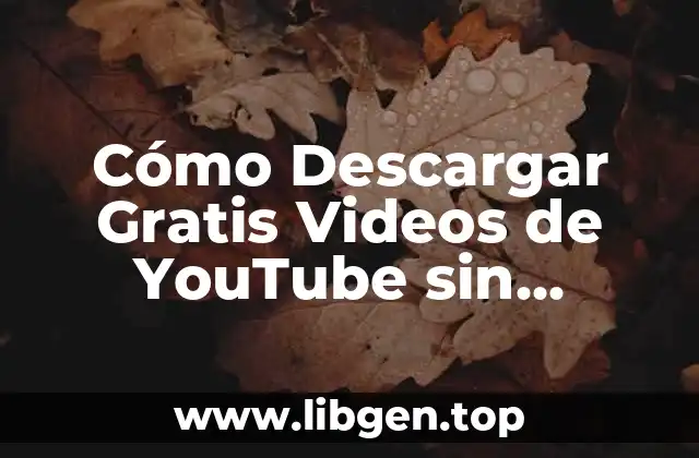 Cómo Descargar Gratis Videos de YouTube sin Violación de Copyright