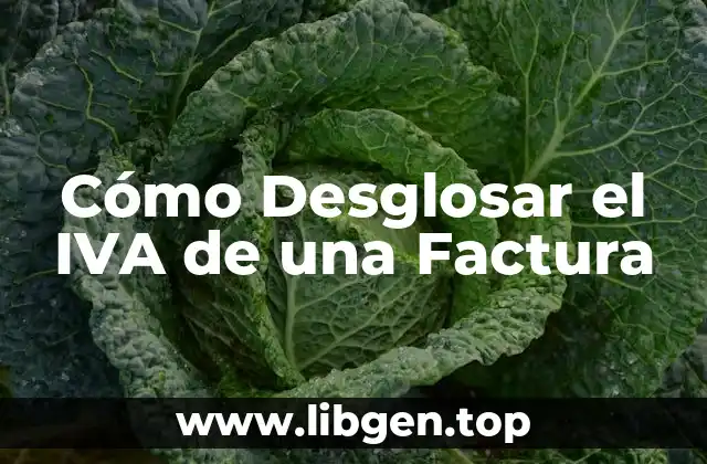 Cómo Desglosar el IVA de una Factura