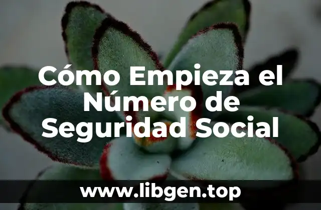¿Qué es el Número de Seguridad Social?