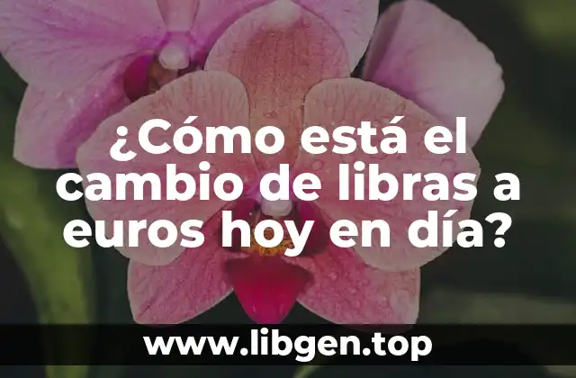 ¿Cómo está el cambio de libras a euros hoy en día?