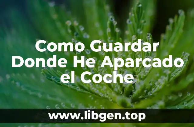 Como Guardar Donde He Aparcado el Coche