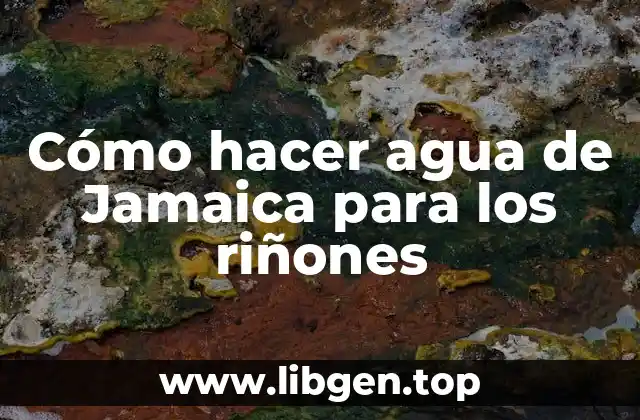 Cómo hacer agua de Jamaica para los riñones