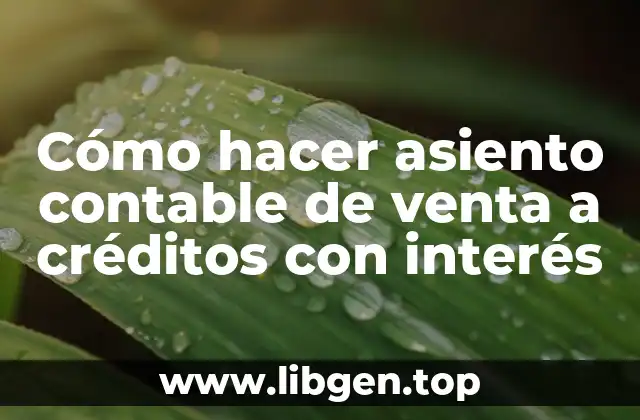 Cómo hacer asiento contable de venta a créditos con interés