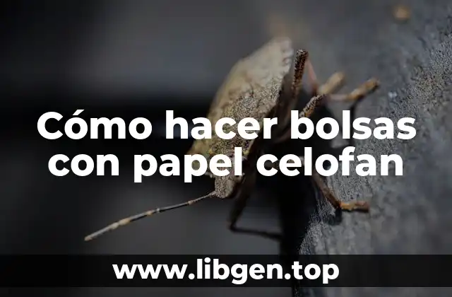Cómo hacer bolsas con papel celofan