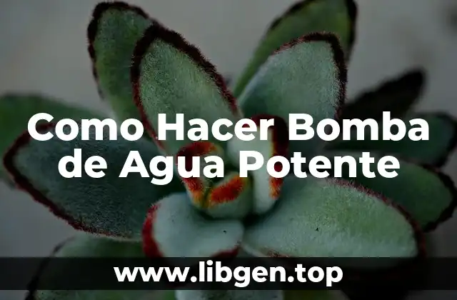 ¿Qué es una Bomba de Agua Potente y para Qué Sirve?