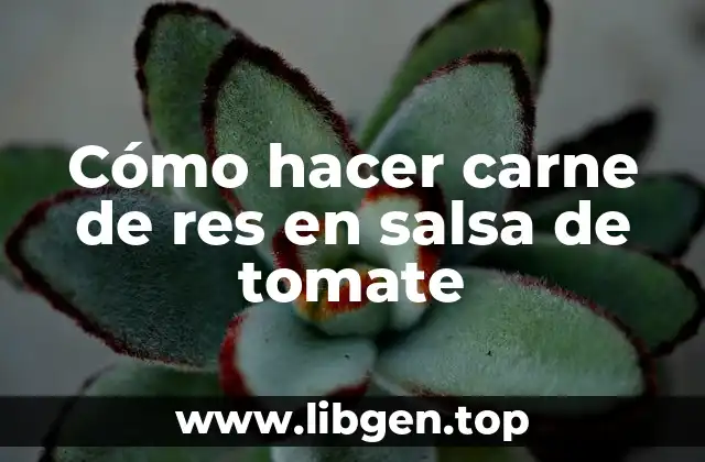 Cómo hacer carne de res en salsa de tomate