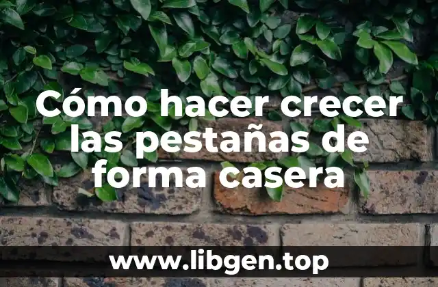 Cómo hacer crecer las pestañas de forma casera
