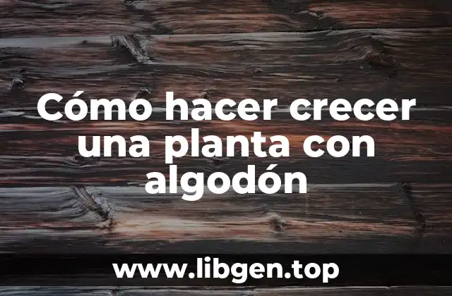 Cómo hacer crecer una planta con algodón