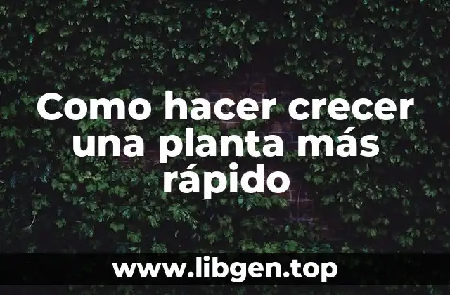 Como hacer crecer una planta más rápido