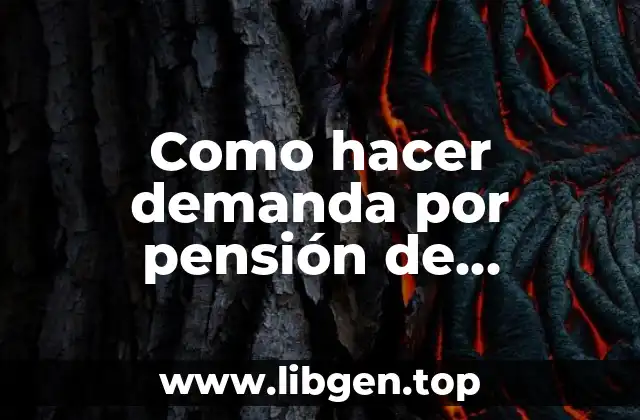 Como hacer demanda por pensión de alimentos via virtual