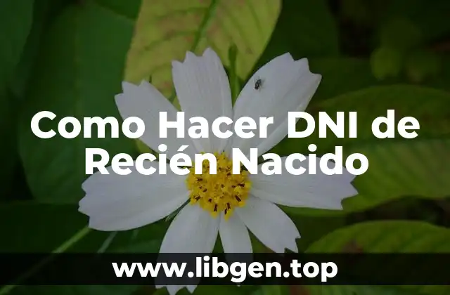 ¿Qué es el DNI de un Recién Nacido?