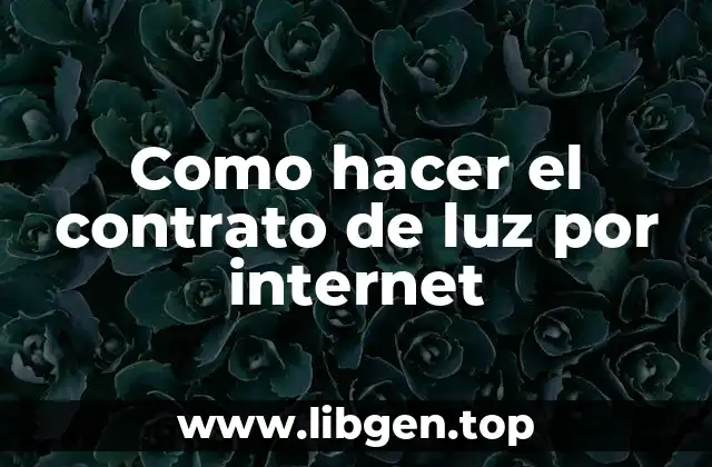 Como hacer el contrato de luz por internet