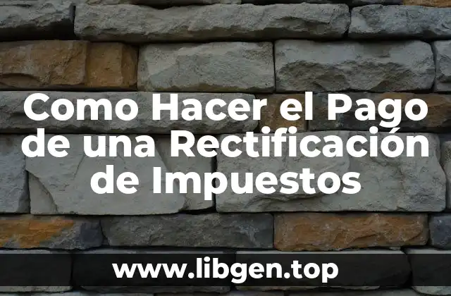 Como Hacer el Pago de una Rectificación de Impuestos