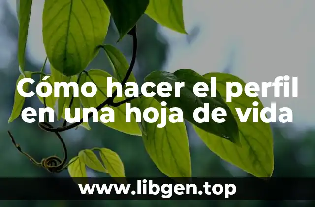 Cómo hacer el perfil en una hoja de vida