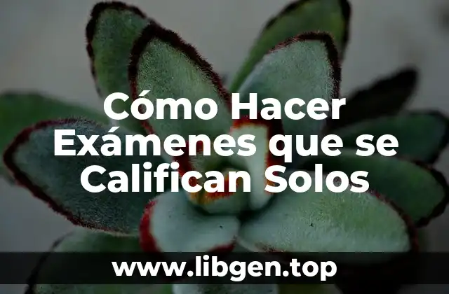 Cómo Hacer Exámenes que se Califican Solos