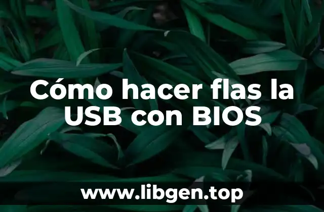 Cómo hacer flas la USB con BIOS